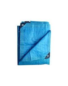 LONAPOLIETILENOAZUL2x2MISTER103995