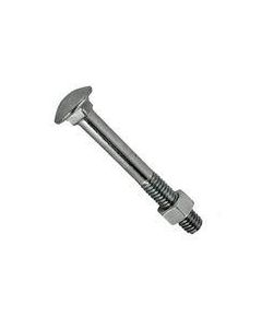 PARAFFRAPORSEXZB14x112MISTER208006